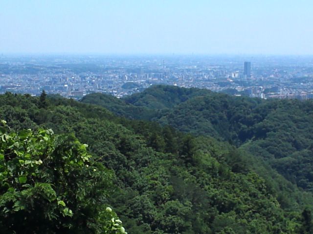 高尾山３.JPG