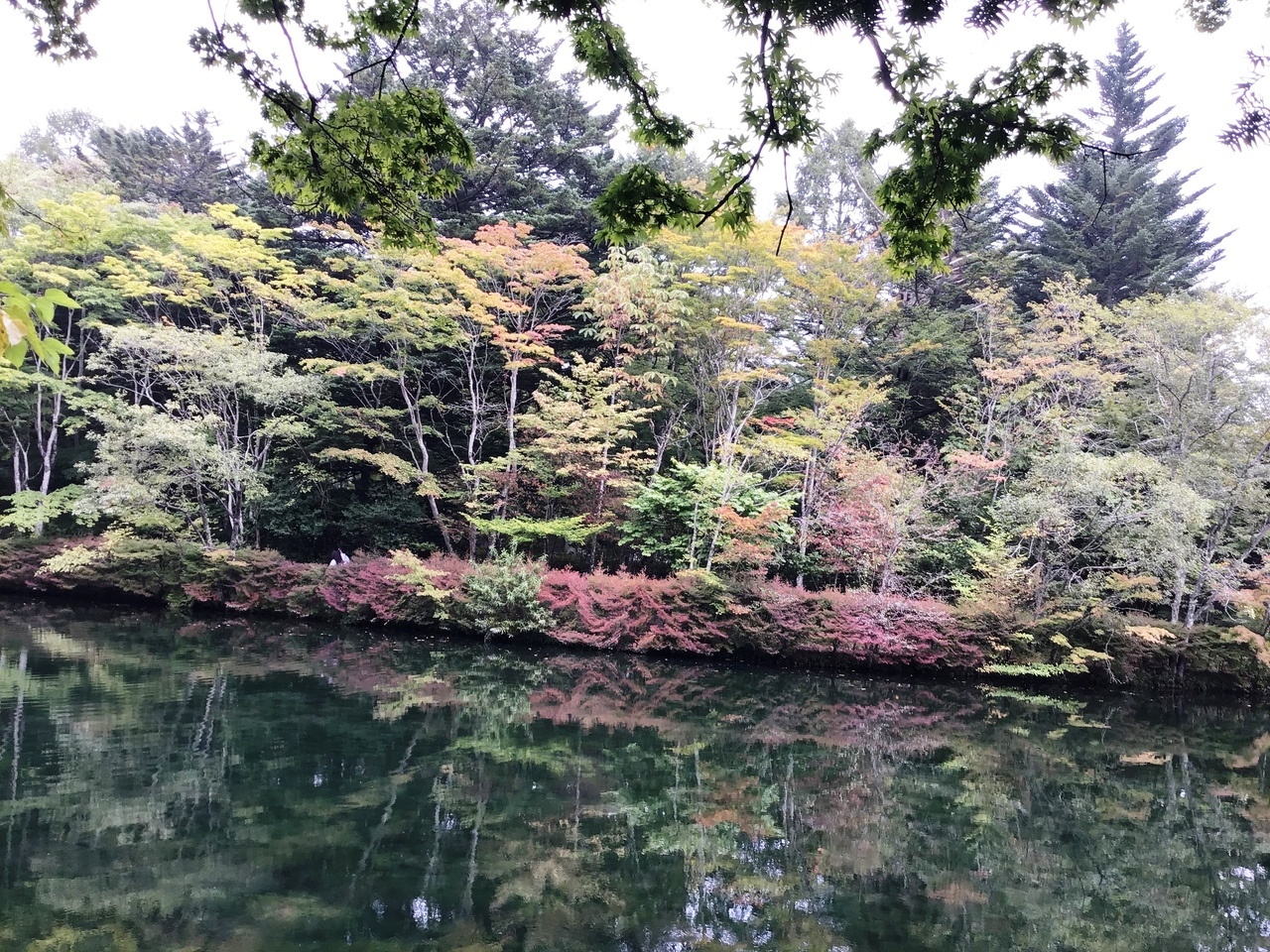 軽井沢の池2.jpg